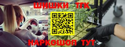 гашик Дубна