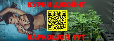 гашик Дубна